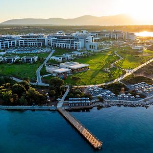 Anda Barut Collection